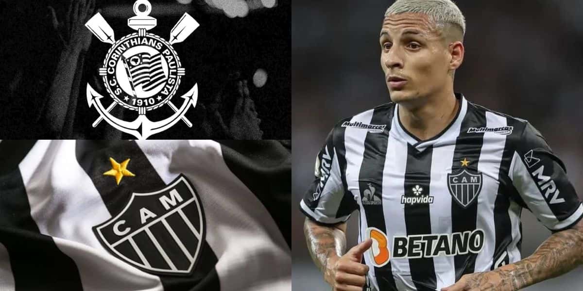 Montagem Tv Foco