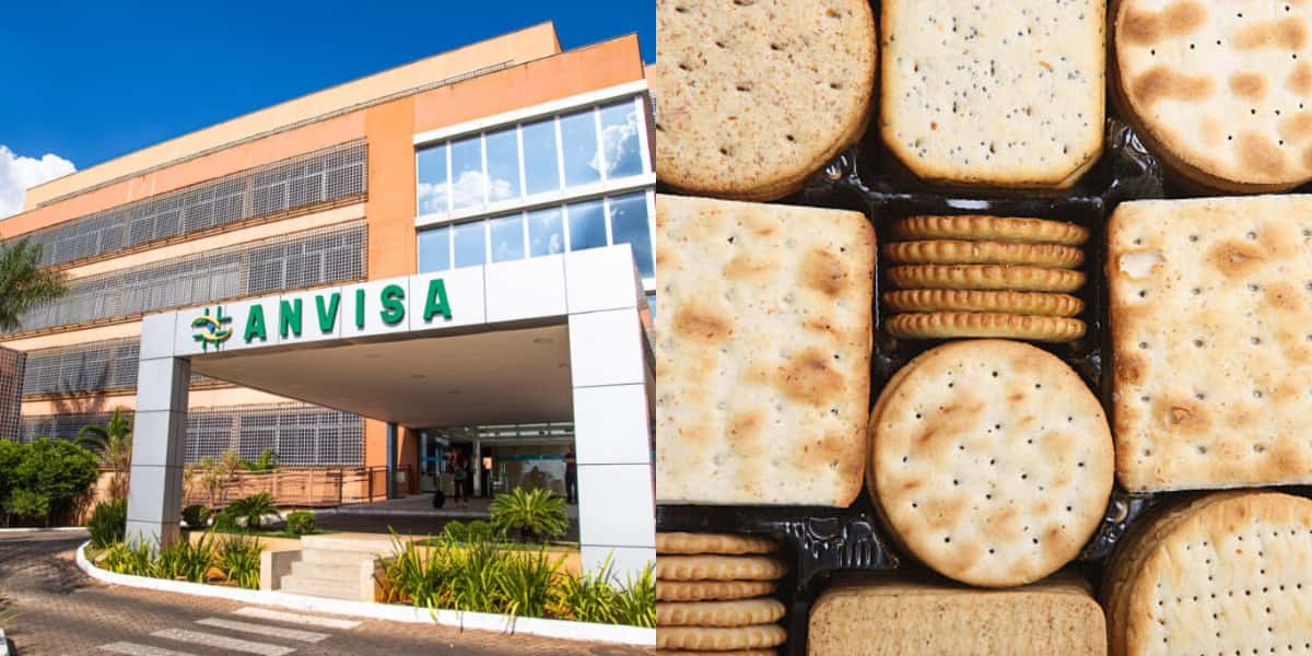 Anvisa precisou barrar fábrica de biscoitos (Foto: Divulgação)