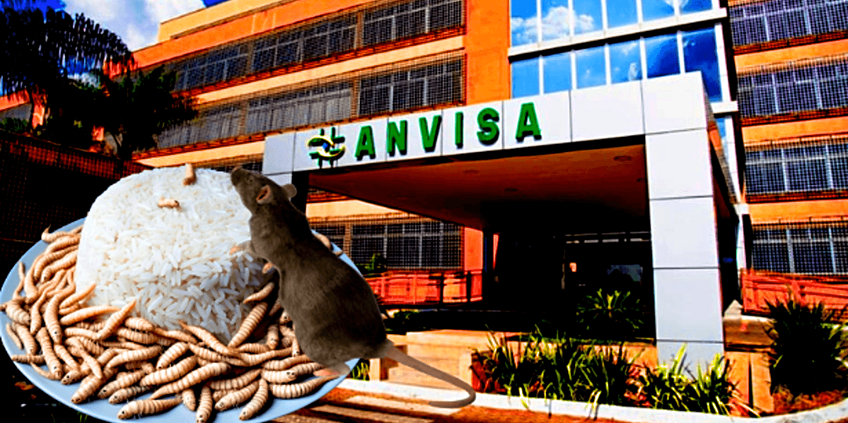 Anvisa baixou proibição contra marca de arroz após constatar presença de pelo de rato e larvas (Foto Reprodução/Montagem/Tv Foco)