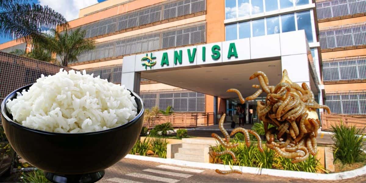 A marca de arroz arrancada das prateleiras pela Anvisa (Reprodução: Montagem TV Foco)