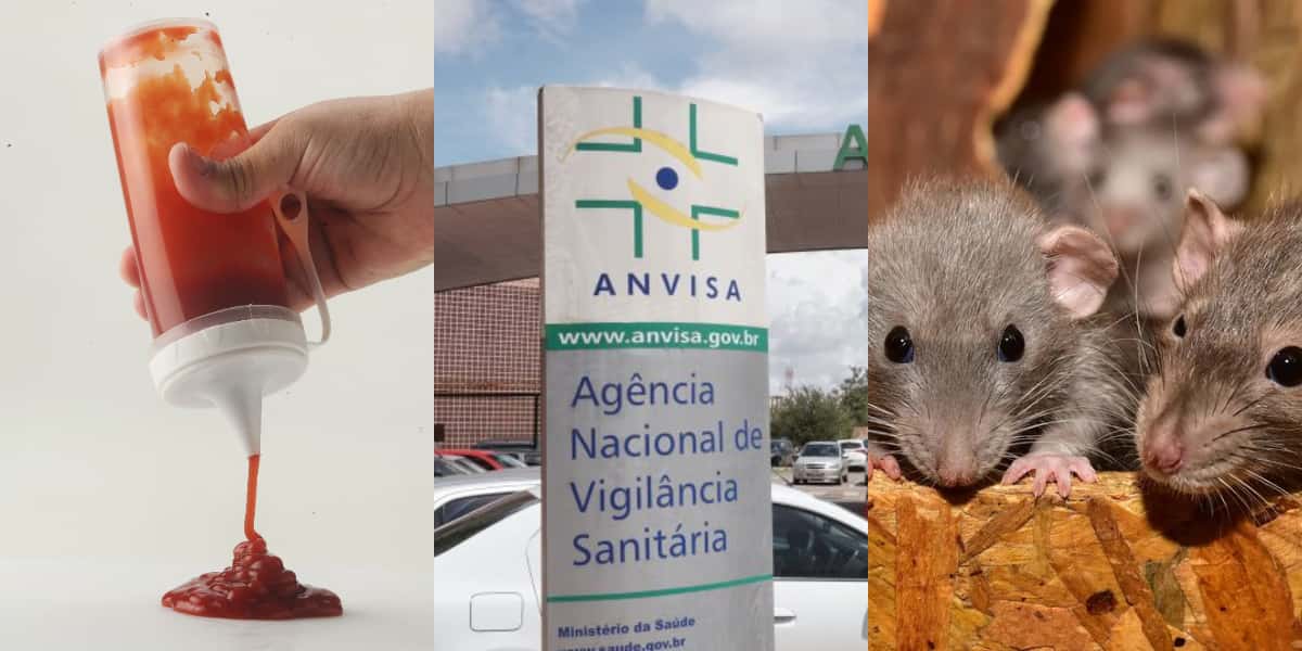 Anvisa barra marca de ketchup amada devido a ratos (Foto: Divulgação)