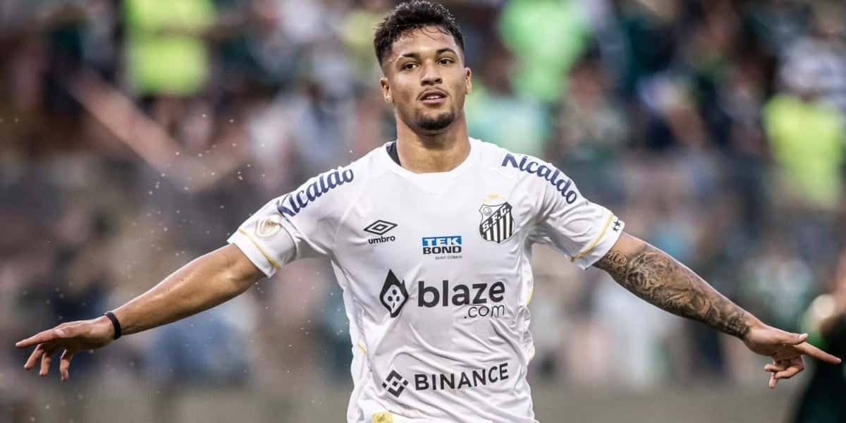 Marcos Leonardo no Santos (Foto: Divulgação)