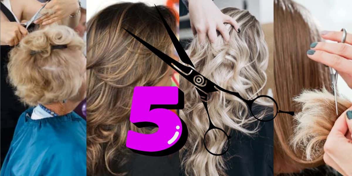 5 cortes de cabelos perfeitos para 2024 (Foto: Reprodução / Internet / Montagem TV Foco)