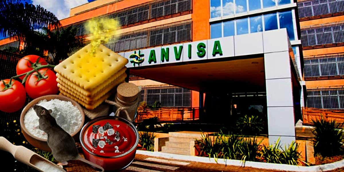 Marcas de biscoito, farinha e molho de tomate tomaram intervenção da ANVISA após graves constatações (Foto Reprodução/Montagem/Tv Foco)