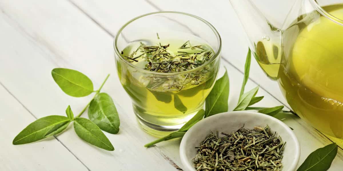 Chá que Combate o Alzheimer (Foto: Reprodução - Essential Nutrition)