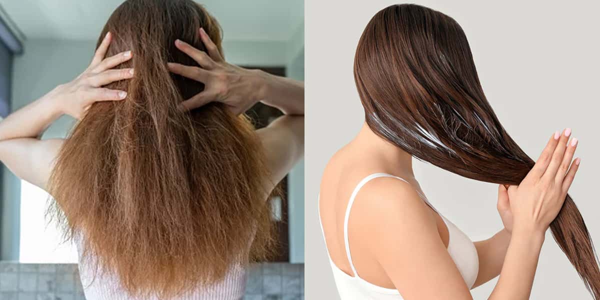 Cuidados com o cabelo (Foto: Reprodução, Montagem - TV Foco)