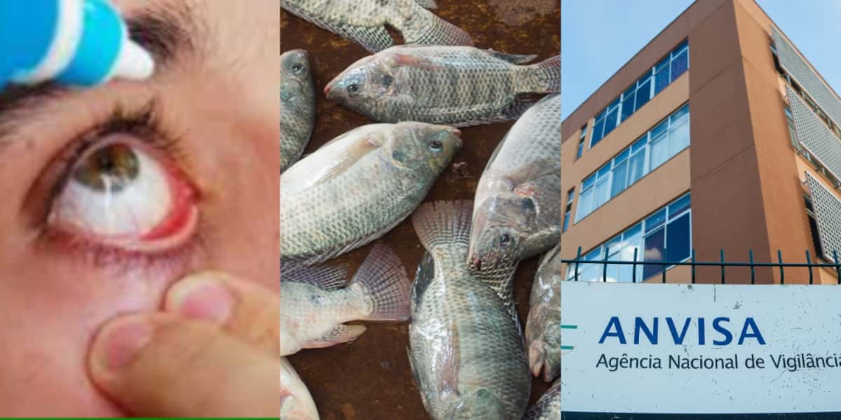Alerta de cegueira, proibição da ANVISA e peixe que pode MATAR - Foto: Internet