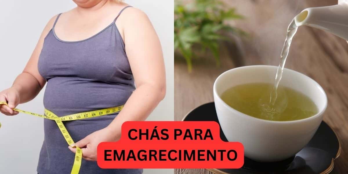 Chás para emagrecer (Reprodução/Internet)