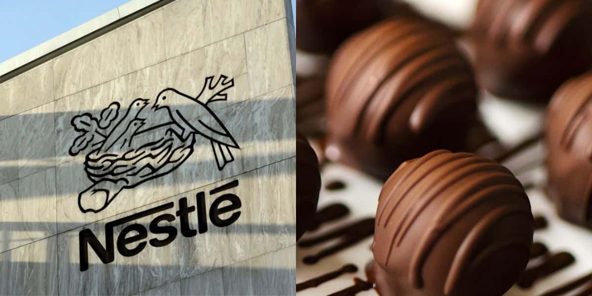 Marca teve viradas em 2023 (Foto: Divulgação/Nestlé/Freepik)