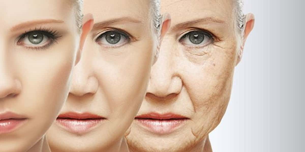 Apenas 5 ingredientes podem te rejuvenescer por décadas (Foto: reprodução Internet)