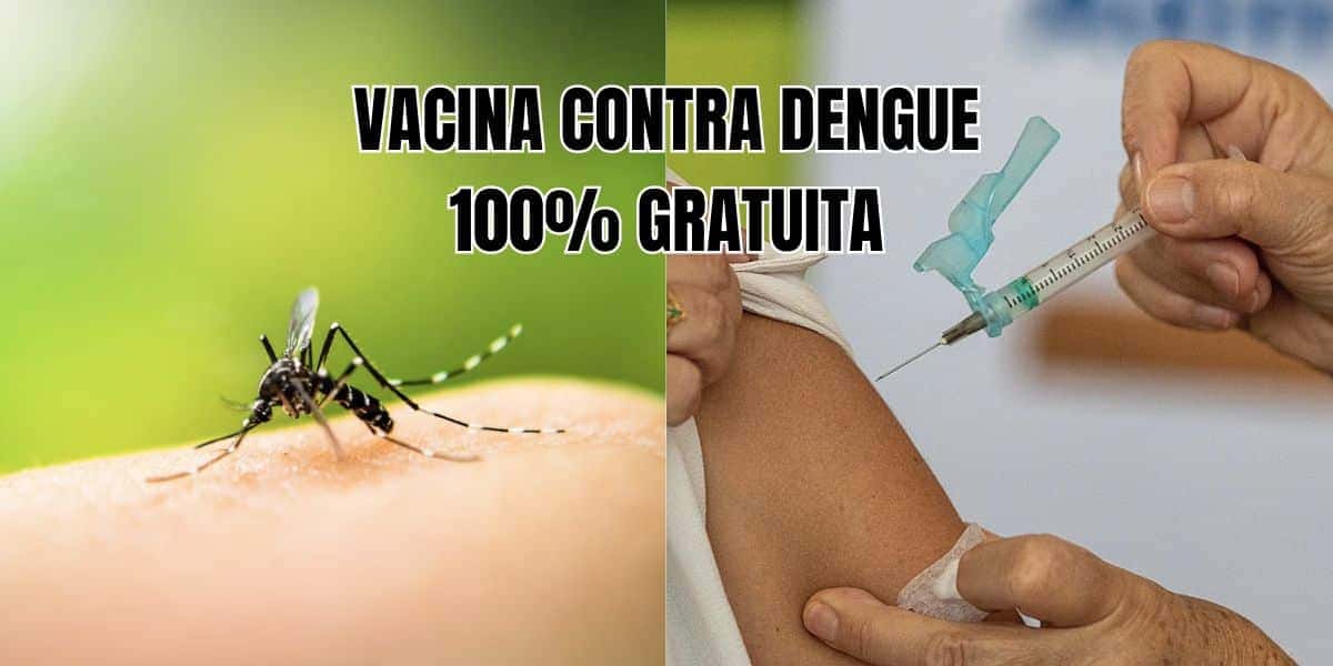 Vacina da dengue chega em SP (Reprodução/Montagem TV Foco)