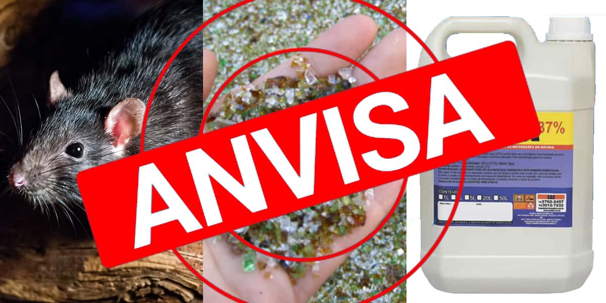 Anvisa rato vidro e formol (Foto: Reprodução, Montagem - TV Foco)