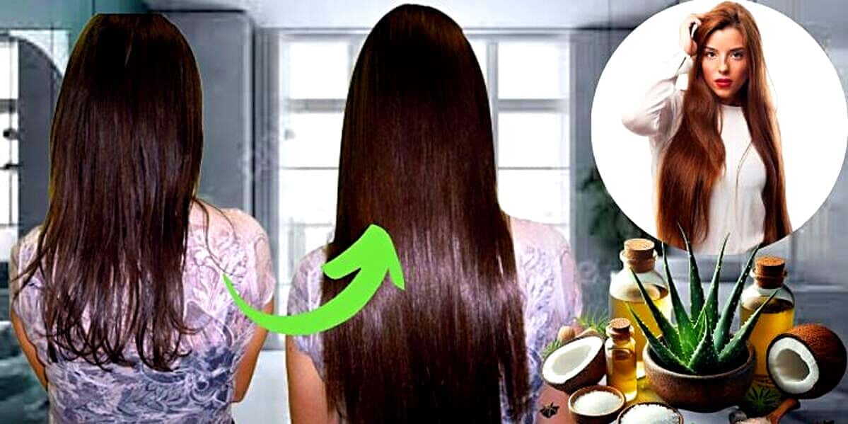 Receita milagrosa faz cabelo crescer em 7 dias (Foto Reprodução/Montagem/Lennita/Tv Foco)