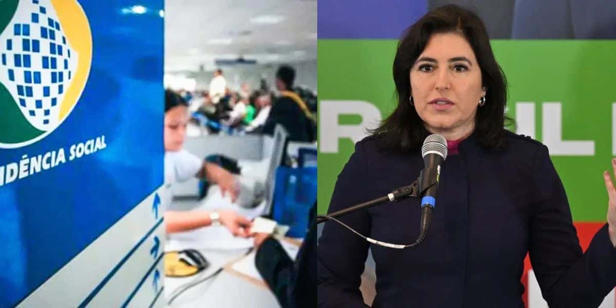 INSS e Simone Tebet (Reprodução - Internet)