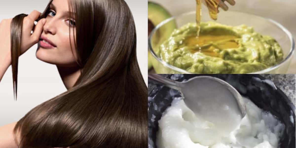 Receitas naturais para hidratar o cabelo (Foto: Reprodução/ Internet)