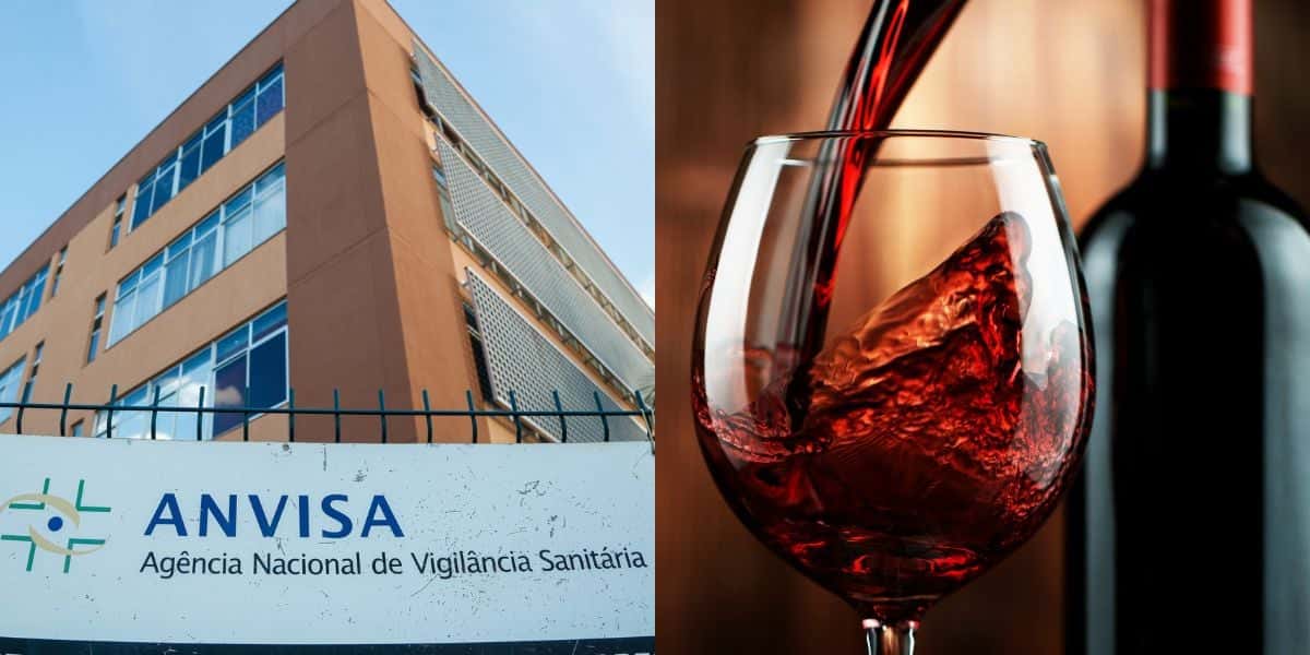 Proibição da Anvisa de 41 mil litros de vinho (Reprodução: Montagem TV Foco)
