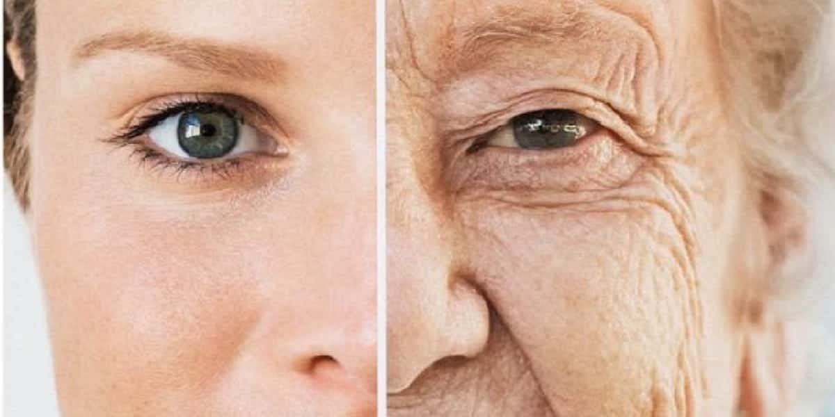 Botox caseiro com apenas 2 ingredientes e excelente resultado (Foto: Reprodução/ Internet)