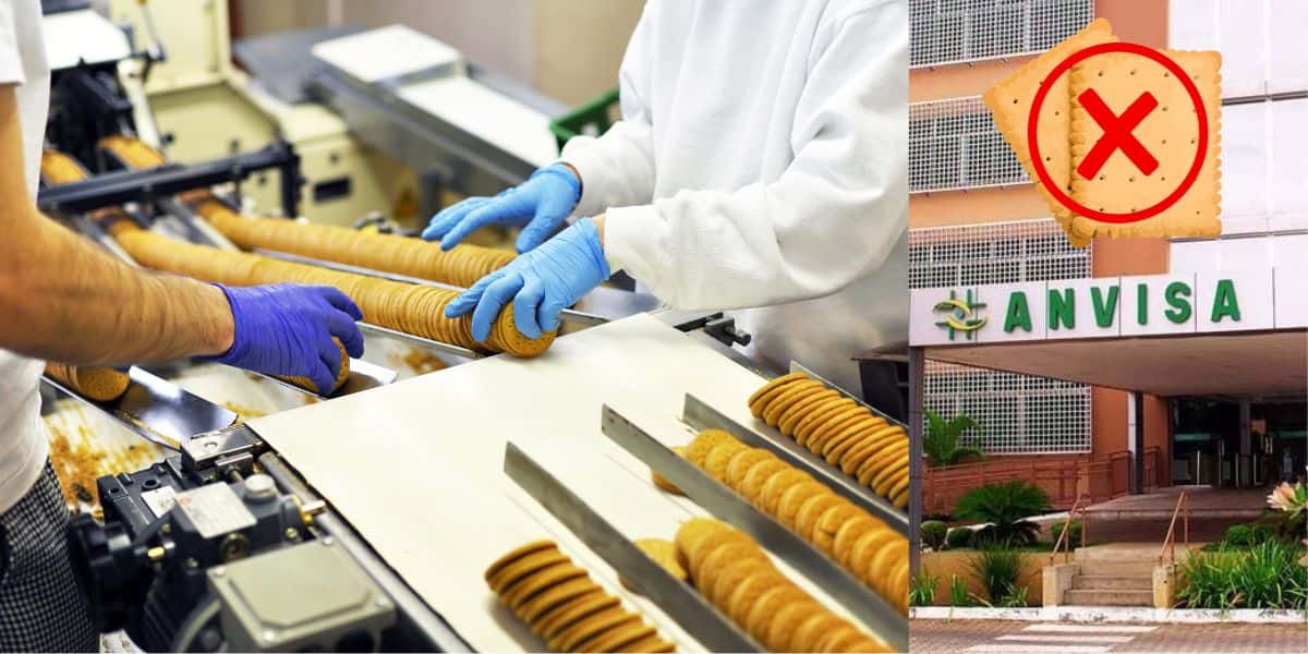 Fábrica de biscoito e Anvisa (Foto: Reprodução / Canva / Montagem TV Foco)