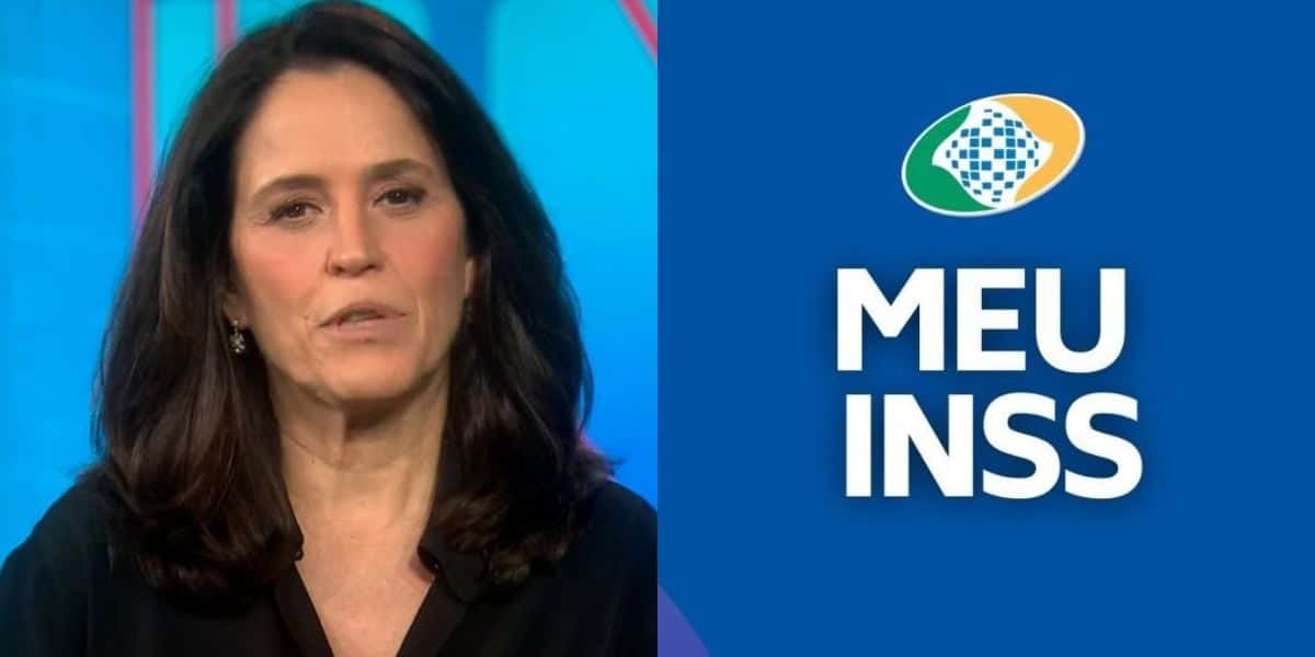 Ana Luiza Guimarães deu notícia no Jornal Nacional (Foto: Reprodução / TV Globo)