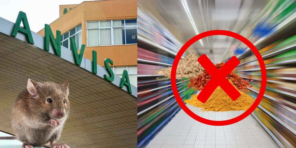 Rato, logo da Anvisa e prateleiras de mercado (Foto: Reprodução / Canva / Montagem TV Foco)