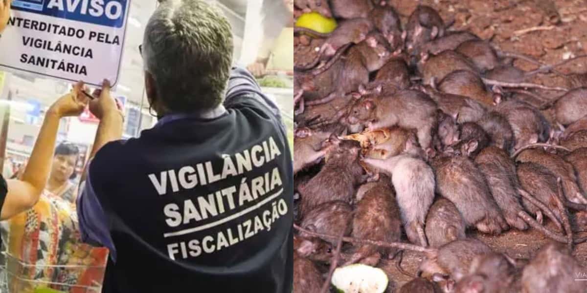 Vigilância Sanitária encontra ambiente insalubre (Foto: Divulgação)