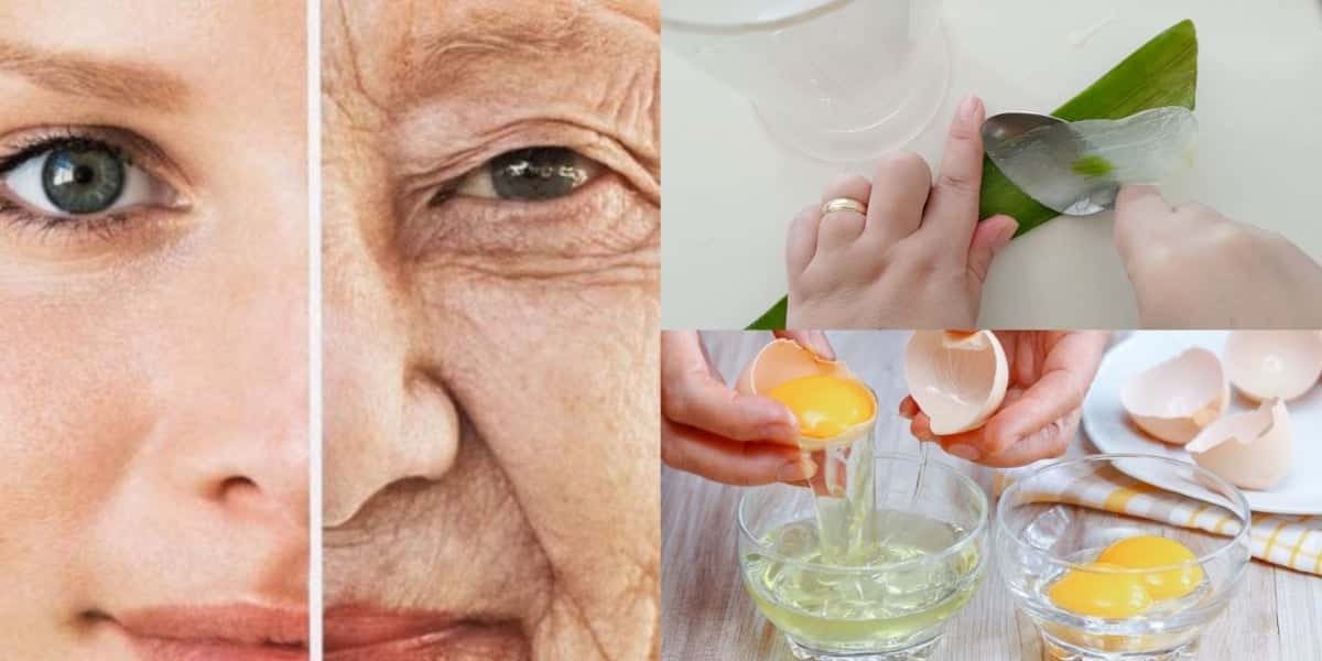 Receita com clara de ovo, babosa, açúcar e óleo de oliva (Foto: Reprodução/ Internet)