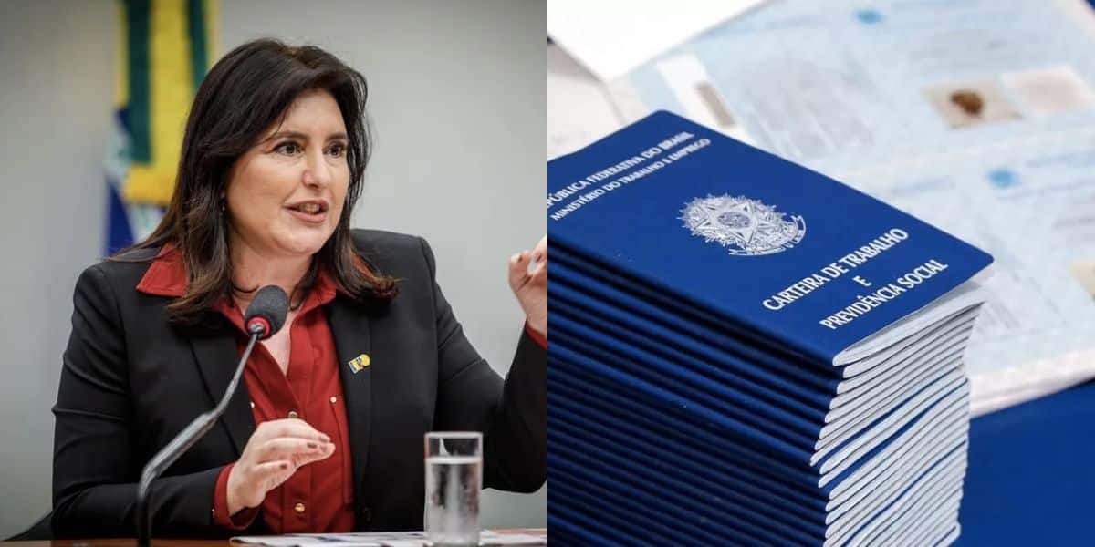 Tebet confirma vitória aos CLTs (Reprodução/Montagem TV Foco)