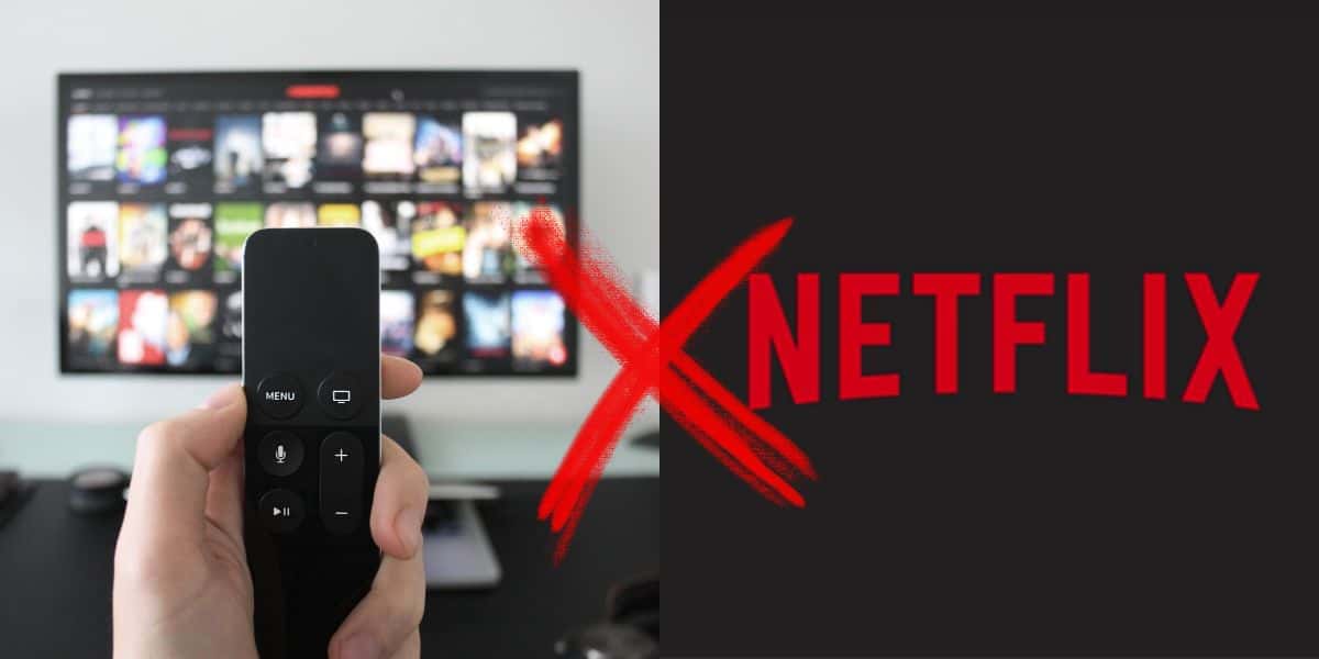 Novo rival da Netflix (Reprodução/Montagem TV Foco)