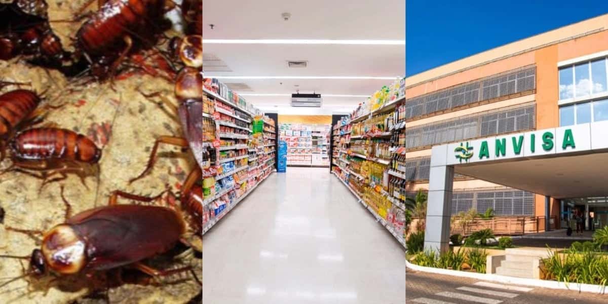 A interdição de restaurante de SP e mais 2 mercados pela Anvisa - Foto: Montagem