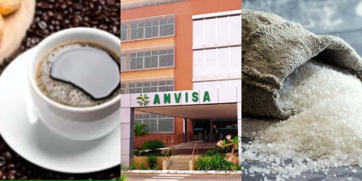 A proibição da ANVISA 3 marcas queridinhas - Foto: Internet