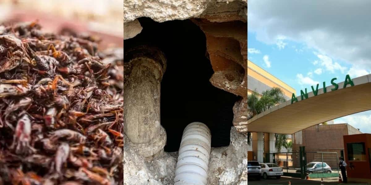 : Ordem da ANVISA lacra restaurante no RJ, queridinho das mulheres e +1 - Foto: Internet