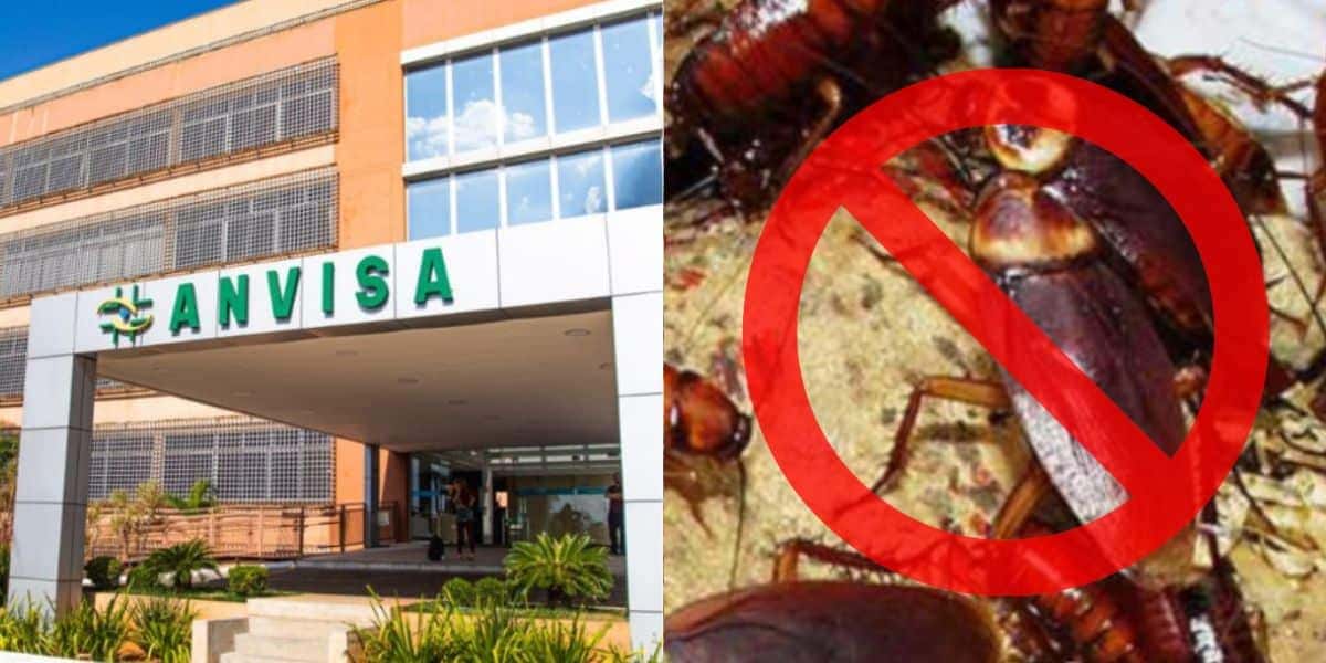 Anvisa interdita restaurante popular (Foto: Internet)