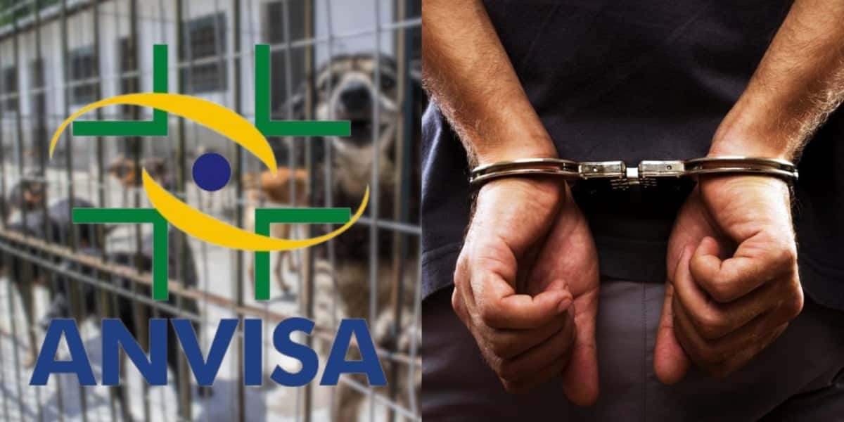 Anvisa lacra varejista tradicional de carnes (Foto: Reprodução/ Montagem - TV Foco)