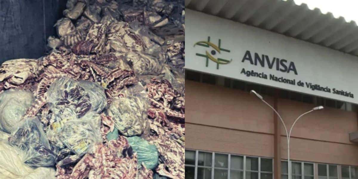 Carnes apreendidas e Anvisa (Fotos: Reproduções / Assessoria / Prefeitura de Vila Velha / Globo)
