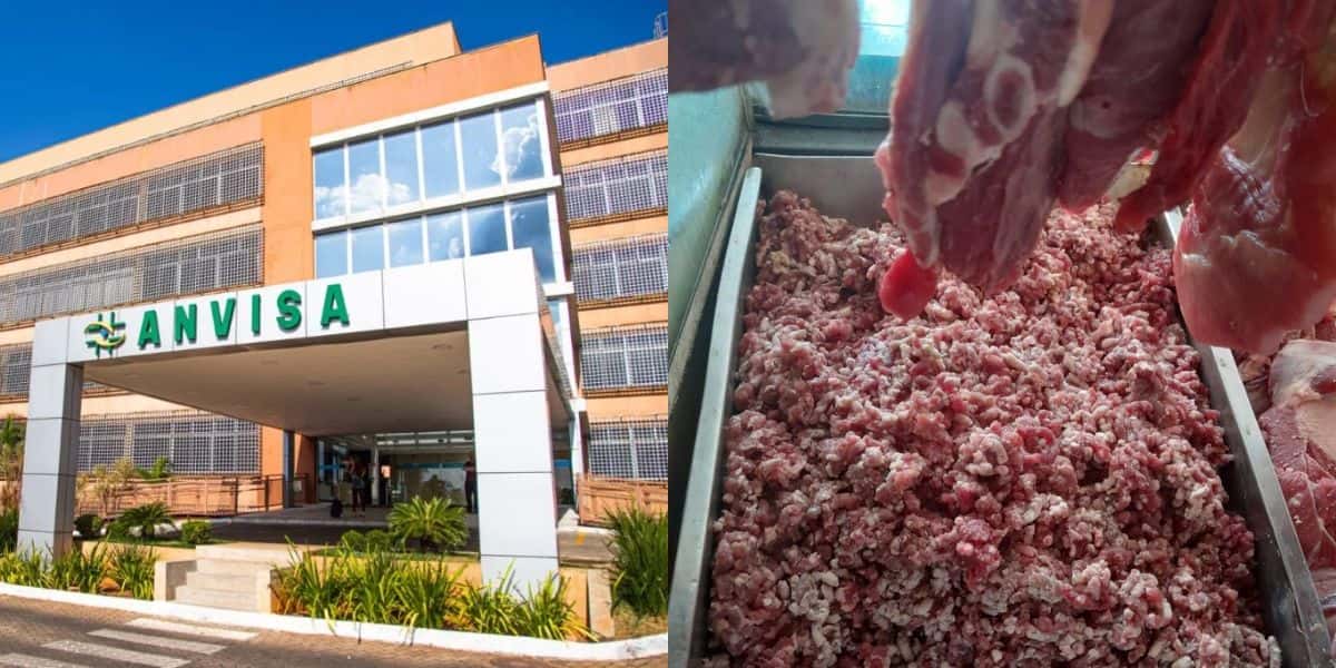 Anvisa interditou 3 fábricas e supermercado (Reprodução: Montagem TV Foco)