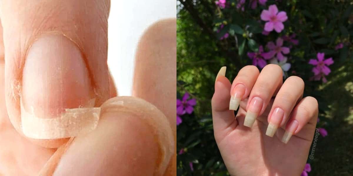 Unhas longas e fortes (Foto: Divulgação)