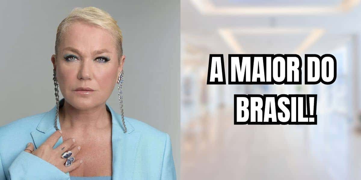 Xuxa é dona de rede gigantesca (Reprodução/Montagem TV Foco)