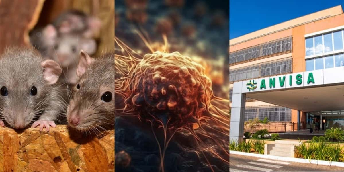 A proibição da ANVISA contra 3 produtos amados pelas donas de casa - Foto: Montagem