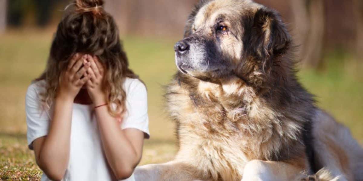 Mulher chorando e cachorro (Fotos: Reproduções / Freepik / DeviAngelmkd / istock)