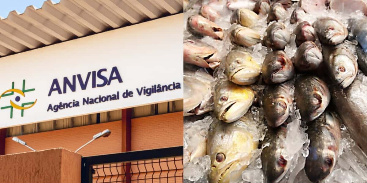 Anvisa fez proibição contra marca de peixe (Foto: Reprodução/ Internet)
