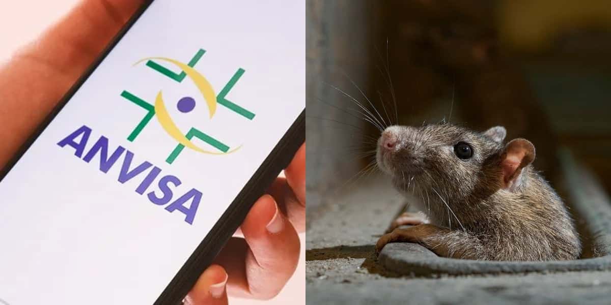 Anvisa teve que barrar estabelecimento (Foto: Divulgação)