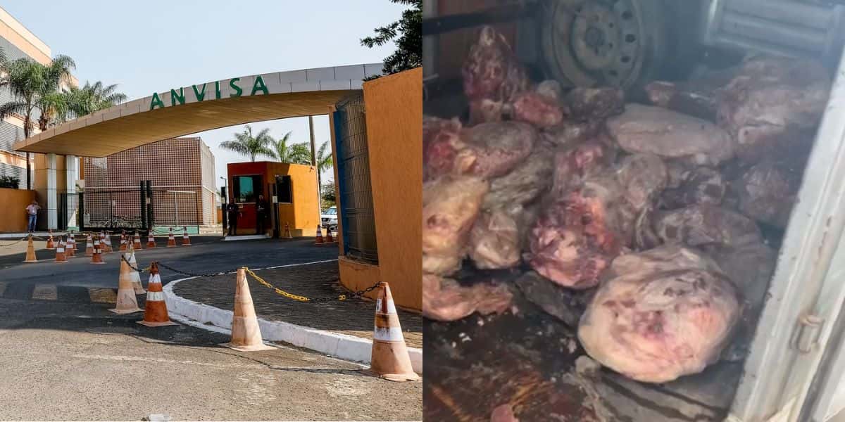 3 açougues foram interditados pela Anvisa (Reprodução: Montagem TV Foco)