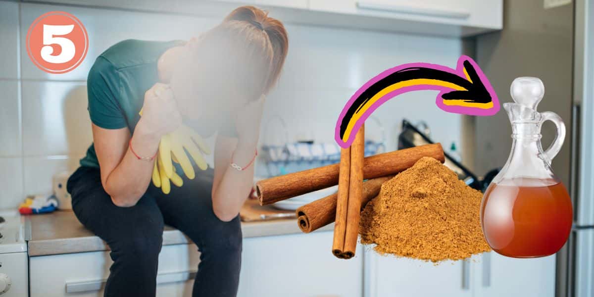 Dona de casa, canela e vinagre (Foto: Reprodução / Canva)