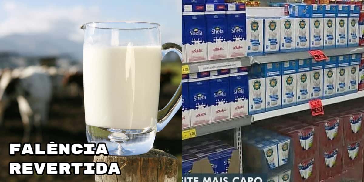 O retorno da falência de gigante do leite (Foto: Divulgação)
