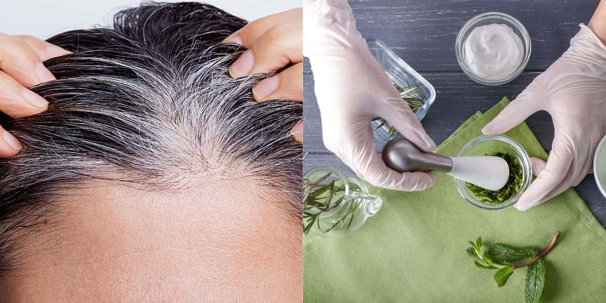 Veja como eliminar o cabelo branco (Foto: Divulgação)