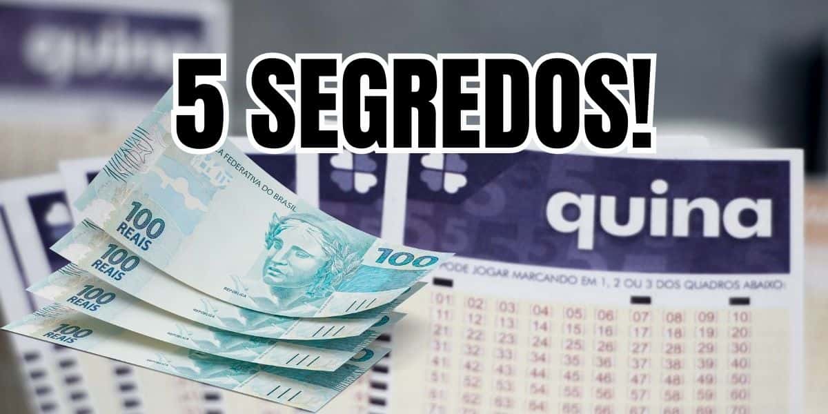 5 segredos da Quina que garantem bolada na sua conta Caixa (Reprodução/Montagem/Canva/O Povo)