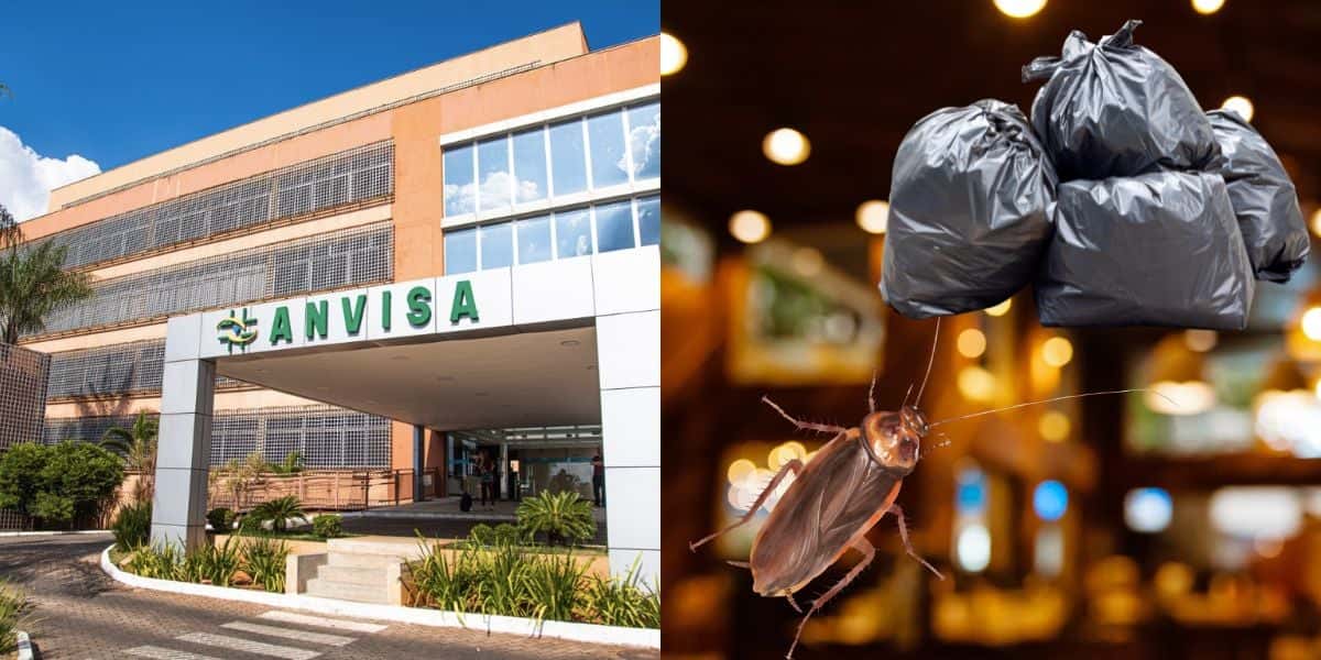 ANVISA interdita 3 restaurantes de SP diante de nojeira e baratas (Reprodução/Montagem/Canva)