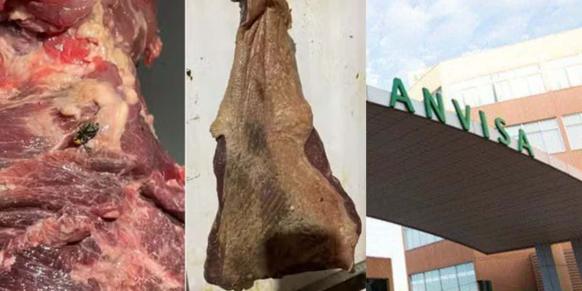 Carnes estragadas e Anvisa (Fotos: Reproduções / Polícia Civil / Internet)