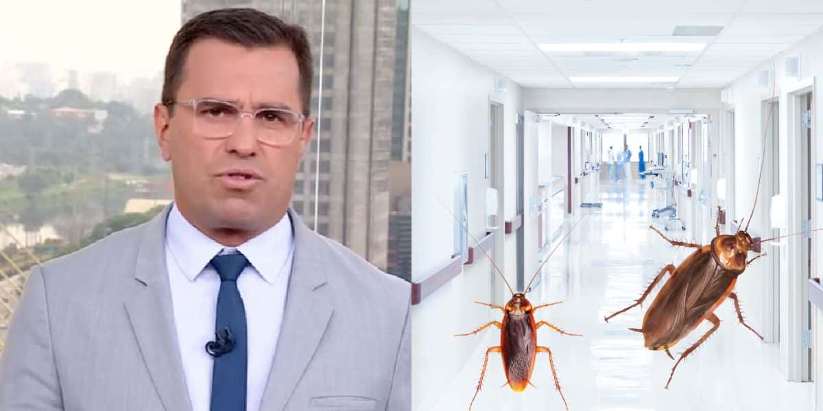 Rodrigo Bocardi expõe hospital com presença de baratas e nojeira (Reprodução: Montagem TV Foco)