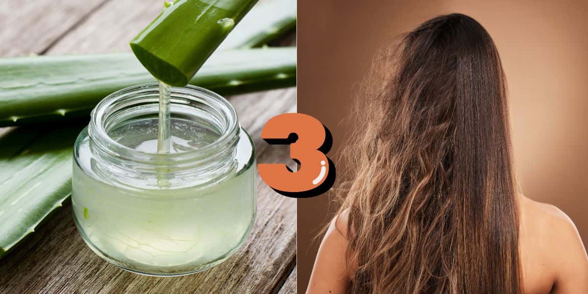 Babosa e cabelo com ou sem frizz (Foto: Reprodução / Canva)